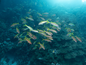 Similar image 21490288