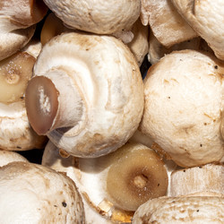 Similar image 21490385