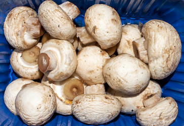 Similar image 21490386