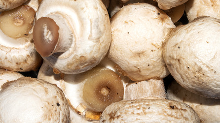 Similar image 21490388