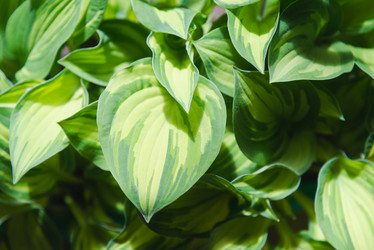 Similar image 21491113