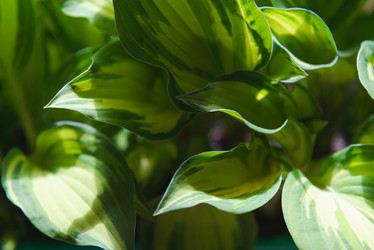 Similar image 21491114