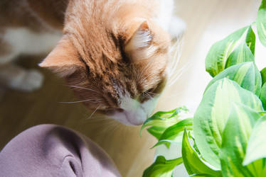 Similar image 21491115