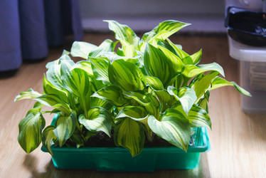 Similar image 21491117