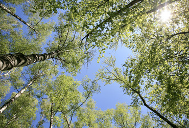 Similar image 21490390