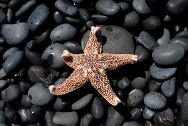 Similar image 21491384