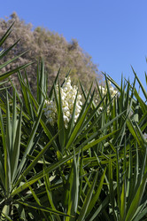 Similar image 21495730