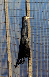 Similar image 21491022