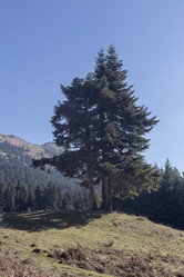 Similar image 21495732