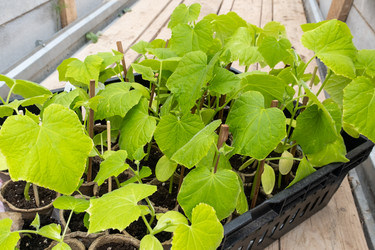 Similar image 21490323