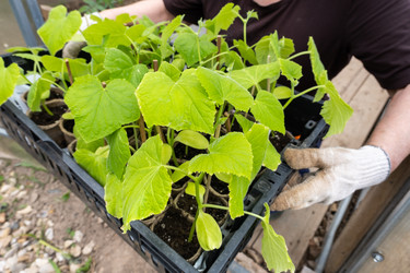 Similar image 21490324