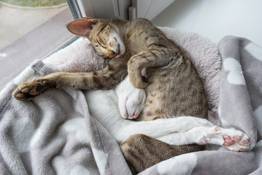 Similar image 21490325