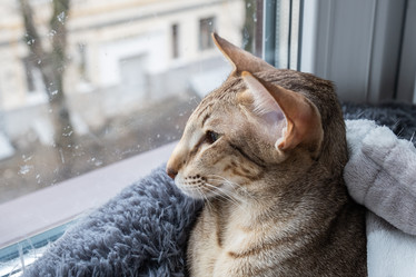 Similar image 21490327