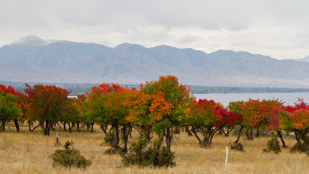 Similar image 21490331