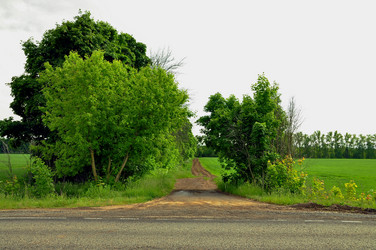 Similar image 21490394