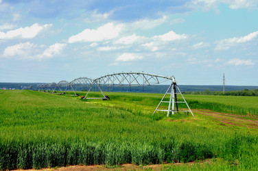 Similar image 21490396