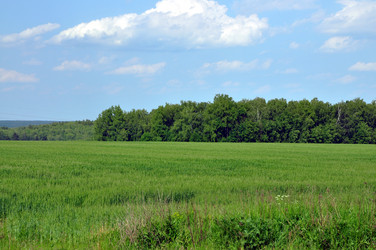 Similar image 21490397