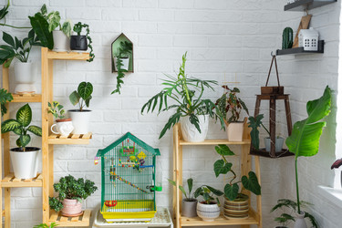 Similar image 21490606