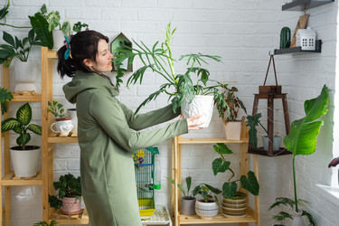 Similar image 21490611