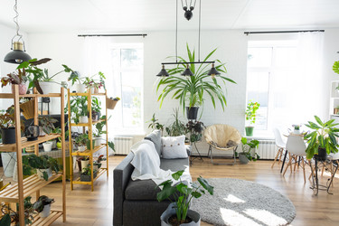 Similar image 21490623