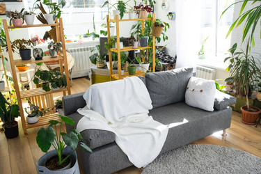 Similar image 21490627