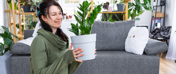 Similar image 21490632