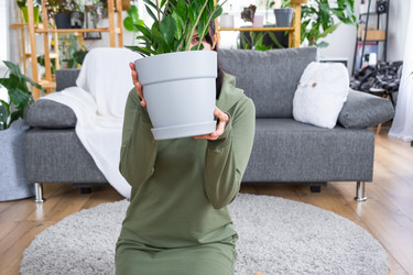 Similar image 21490636