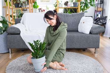 Similar image 21490642