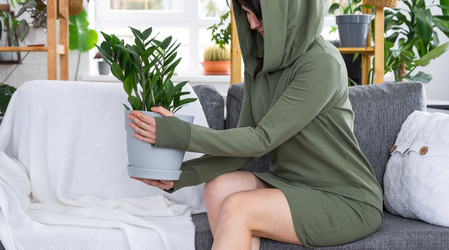 Similar image 21490654