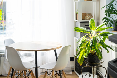 Similar image 21490655