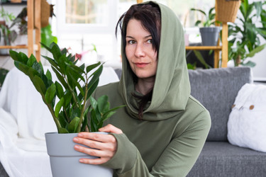 Similar image 21490656