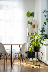 Similar image 21490661