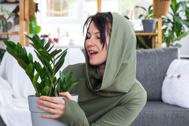 Similar image 21490662