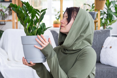 Similar image 21490664