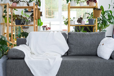 Similar image 21490666