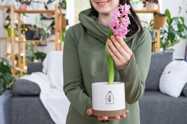 Similar image 21490668