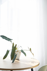 Similar image 21490675