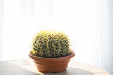 Similar image 21490677