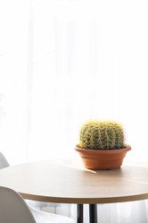 Similar image 21490679