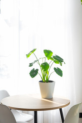 Similar image 21490681