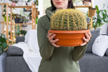 Similar image 21490682