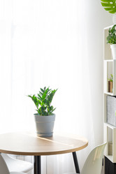 Similar image 21490685