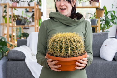 Similar image 21490686