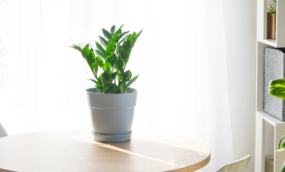 Similar image 21490687