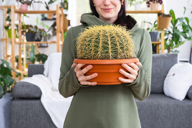 Similar image 21490688