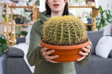 Similar image 21490690