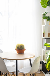 Similar image 21490691