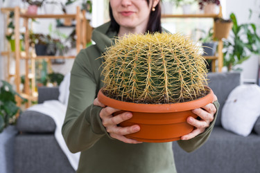 Similar image 21490692