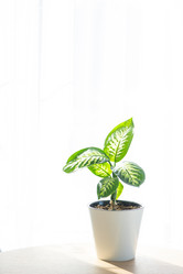 Similar image 21490693