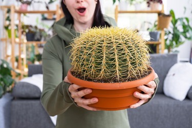 Similar image 21490694